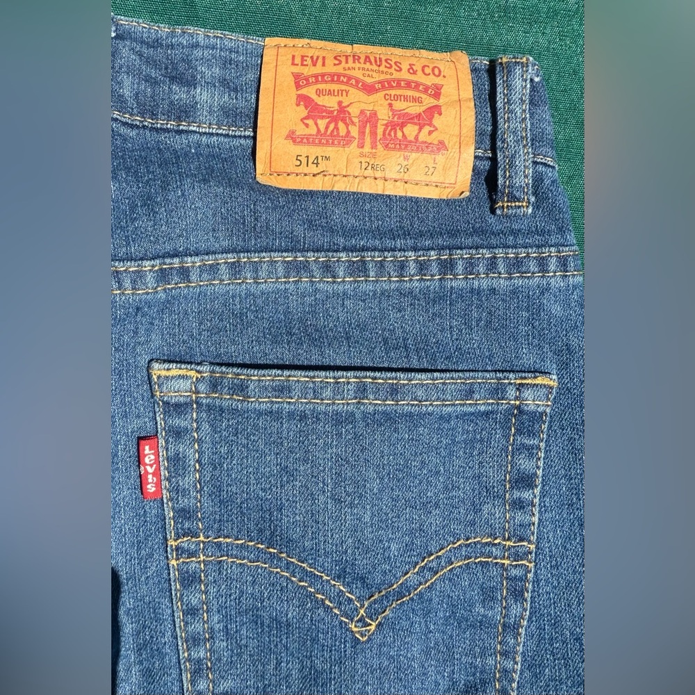 Levi's Blue Denim Jeans with Iconic Stitching